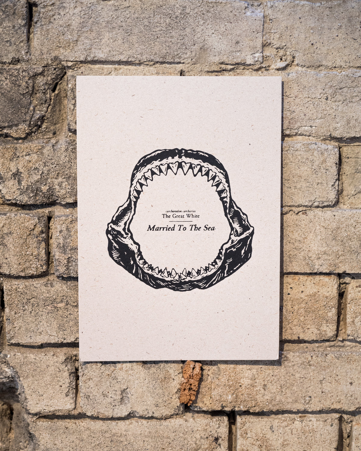 Jaw Art Screen Print A4 | Black/Raw