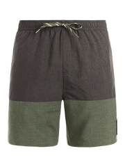 Protest - Cabus Mens Shorts | Thyme