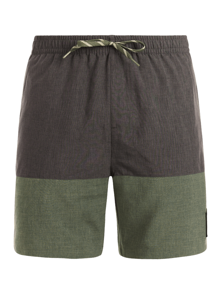 Protest - Cabus Mens Shorts | Thyme