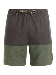 Protest - Cabus Mens Shorts | Thyme