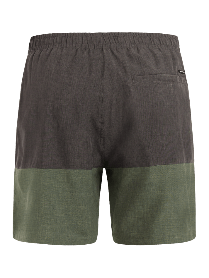 Protest - Cabus Mens Shorts | Thyme