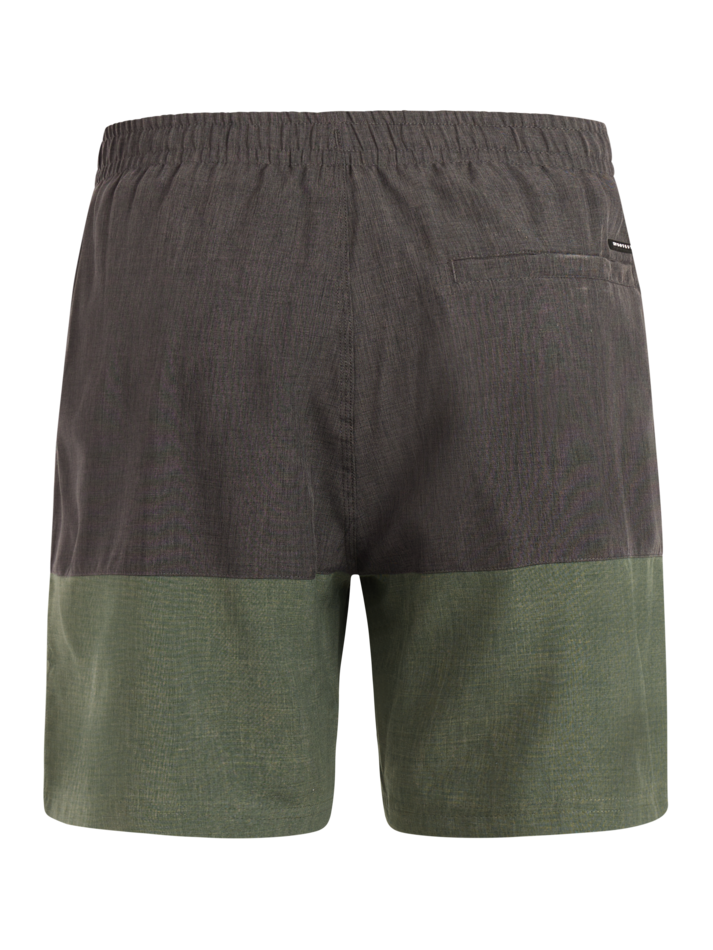 Protest - Cabus Mens Shorts | Thyme