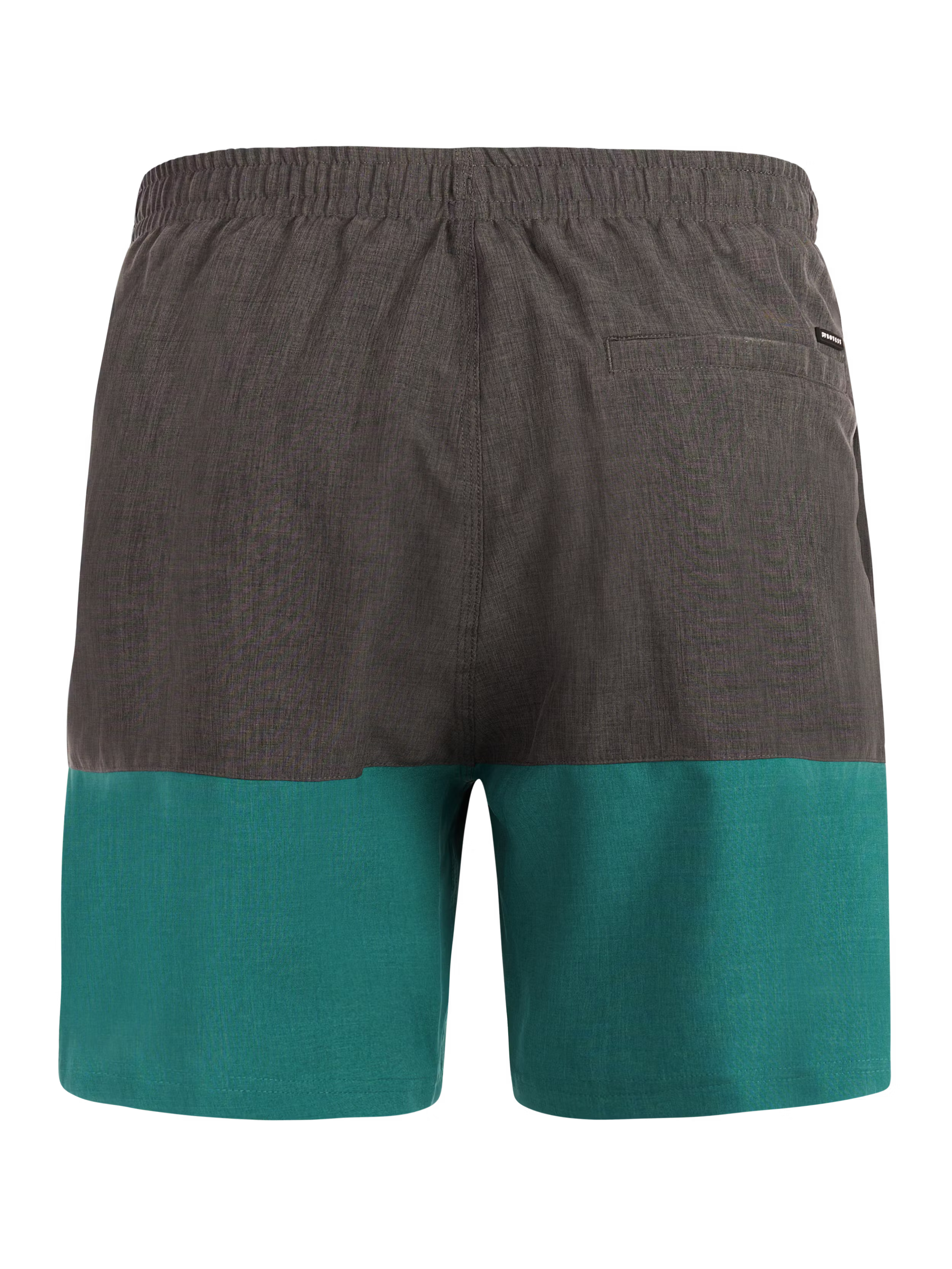 Protest - Cabus Mens Shorts | Dark Teal
