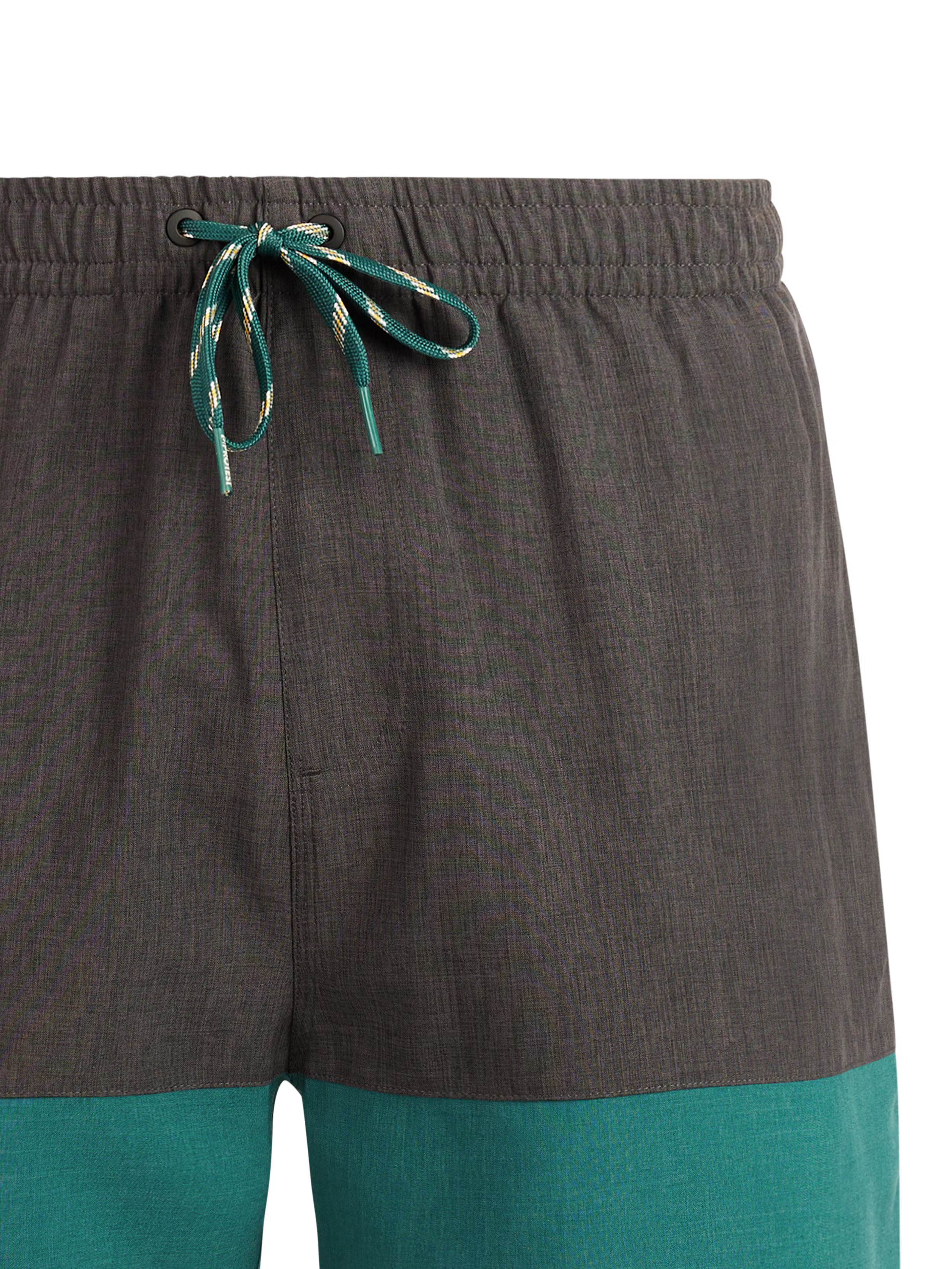 Protest - Cabus Mens Shorts | Dark Teal