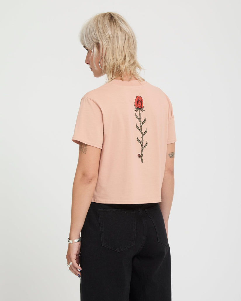 Volcom - Dial Crop Tee | Misty Rose