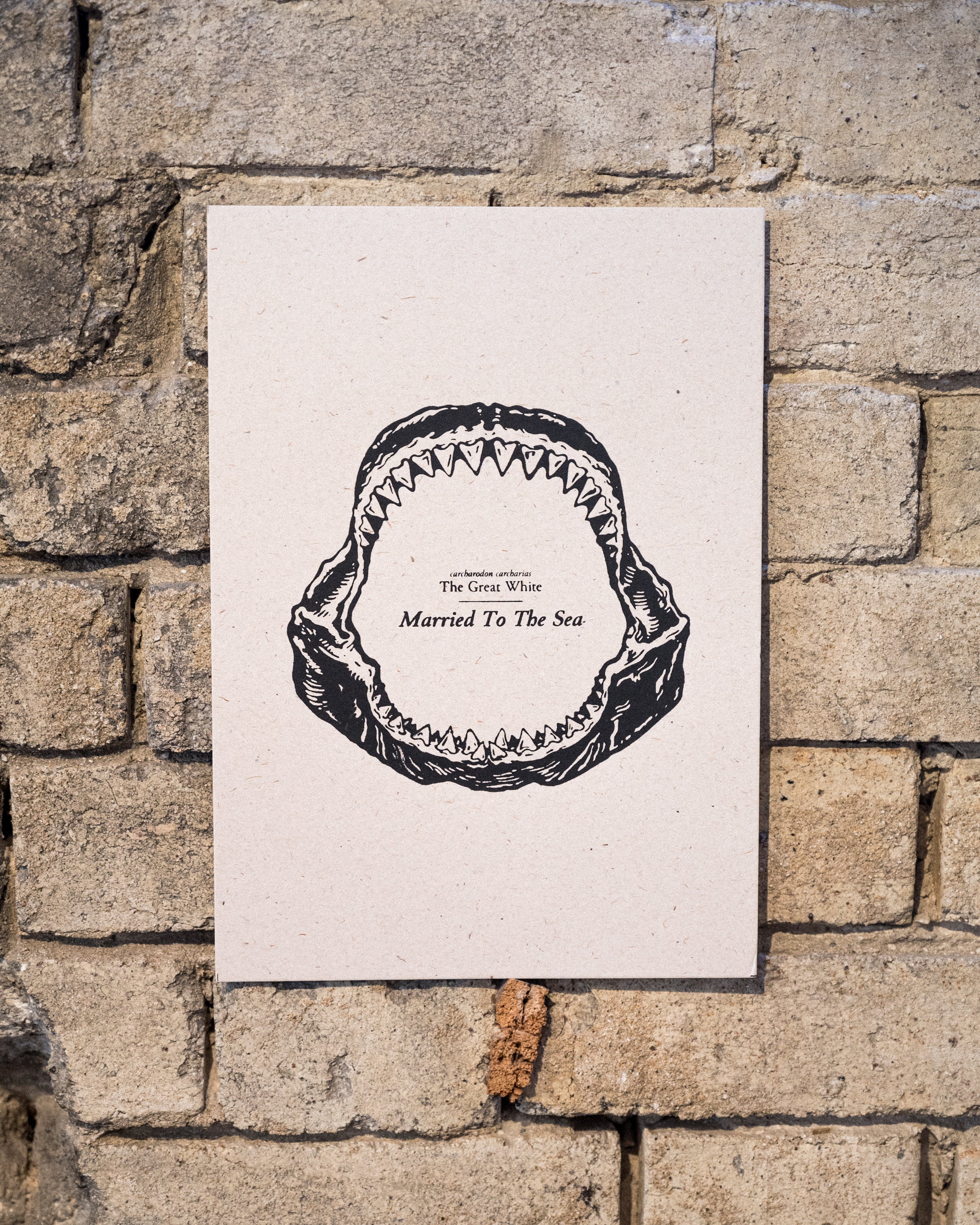 Jaw Art Print | Black/Raw