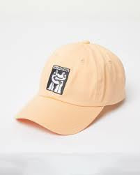Volcom | Stone Bloom Cap | Peach