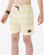 RipCurl Tube Heads Dye Volley Shorts Married to the Sea Surf Shop Rip Curl