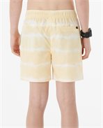 RipCurl Tube Heads Dye Volley Shorts Married to the Sea Surf Shop Rip Curl