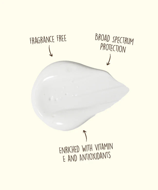 Sun Bum - Original Sunscreen Face Lotion | SPF 50 - Sun Bum - married-to-the-sea-shop